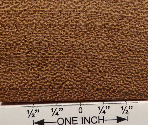 iroko%201%20end%20grain%20closeup%202%20s25%20plh.jpg