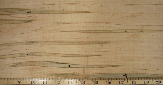 maple,%20ambrosia%2001%20closeup%20s25%20plh.jpg