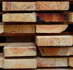 pine,%20radiata%20end%20grain%202%20web.jpg